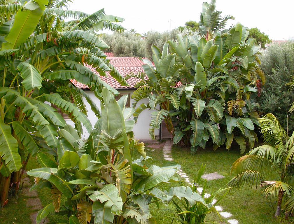 Tonicello Hotel Resort & Spa Capo Vaticano Buitenkant foto